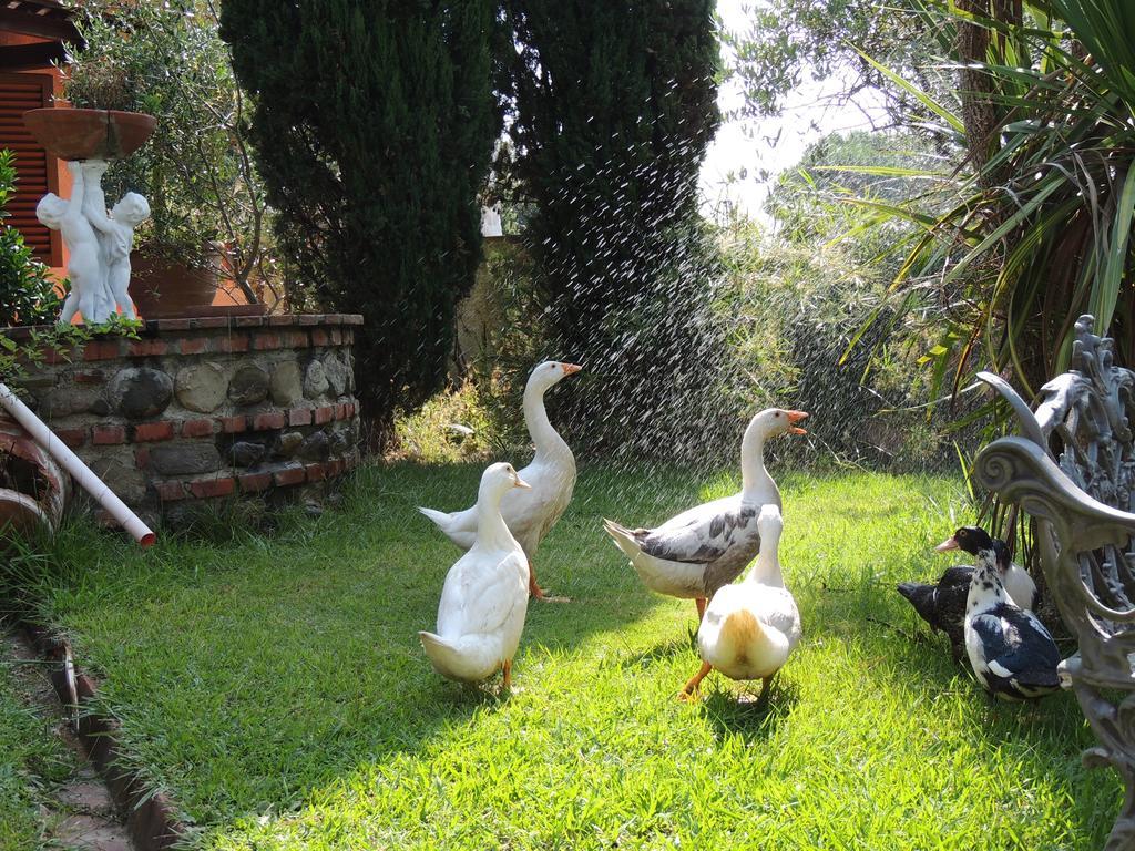 Il Cipresso Del Gallo Montecatini Terme Eksteriør bilde